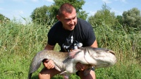 Sum 25,50 kg