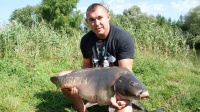 Karp 19,600 kg