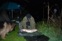 karp