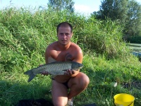 Amurek 3,60 kg