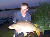 Karp 12 kg