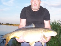 Karp 11kg