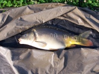 4,5kg