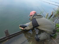 Warto czasem wrócić do korzeni: podniesiona potrójna kukurydza na włosie bez konkurencji tym razem:-) Karp 13,300kg - 11 Maj 2013