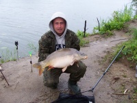 Karp 8 kg
