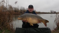 listopadowy  13,7 kg