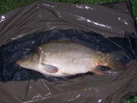 5,50kg